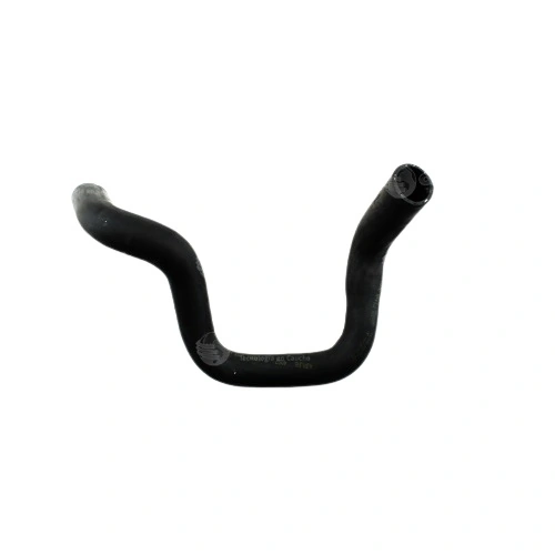 Mangueira Superior do Radiador FORD FOCUS - CAUPLAS 4097