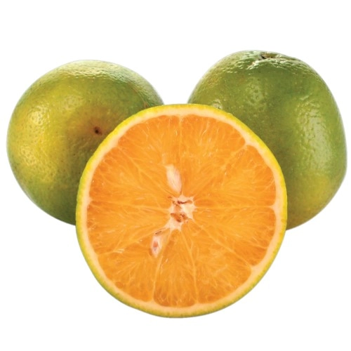 Laranja Pera Kg