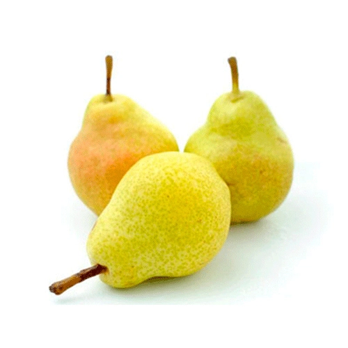 Pera Danjou Kg