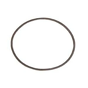 Anel de Vedação da Calota do Cubo Dianteiro VOLVO N12/NL12 - ROCHEPECAS 925261