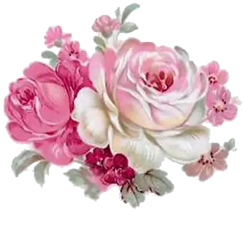 Produto Abc Larissa 100 Gr