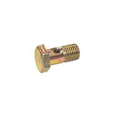 Parafuso Oco para Cano Retorno do Cabeçote 8mm - ROCHEPECAS 3269900163