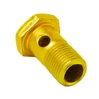 Parafuso Oco Vazado Bomba Injetora do Turbo 16mm - ROCHEPECAS 915036012150