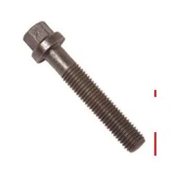 Parafuso do Cabeçote do Motor 14X2X80 - ROCHEPECAS TJG103385A