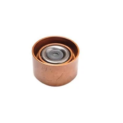 Polia do Tensor Alternador - ROCHEPECAS 2R0903119D
