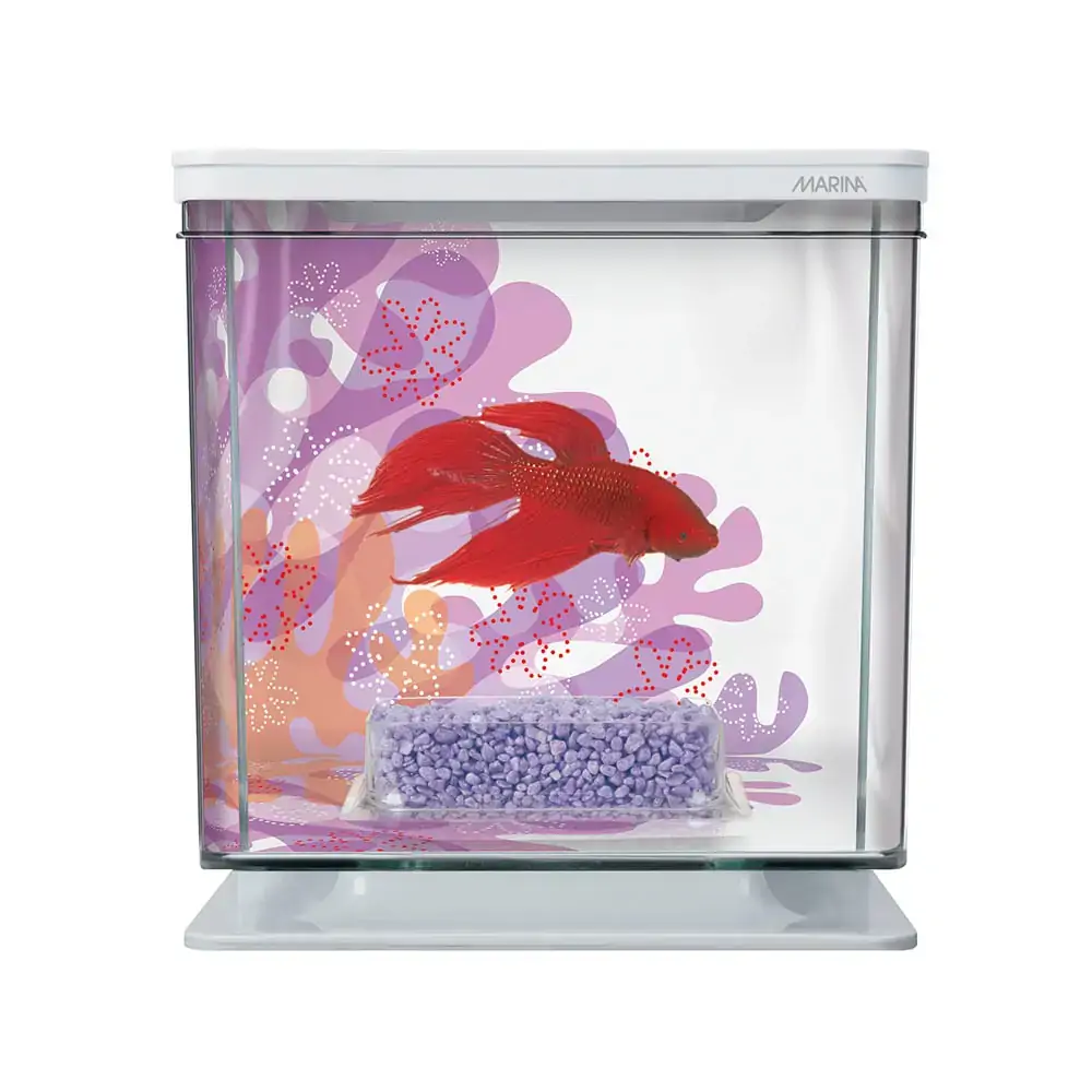 Kit Aquário Para Peixe Betta Floral Marina