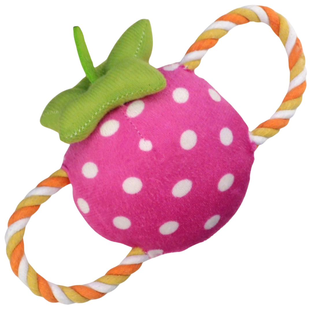 Brinquedo Pet Pelucia Corda Fruta P100 180 Banana Toys