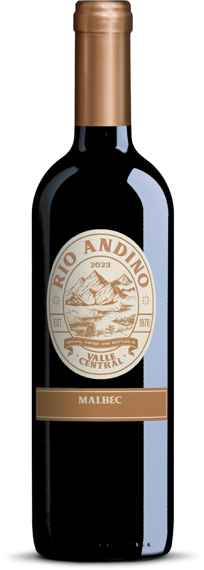 Vinho Tinto Chileno Seco Rio Andino Malbec Garrafa 750ml