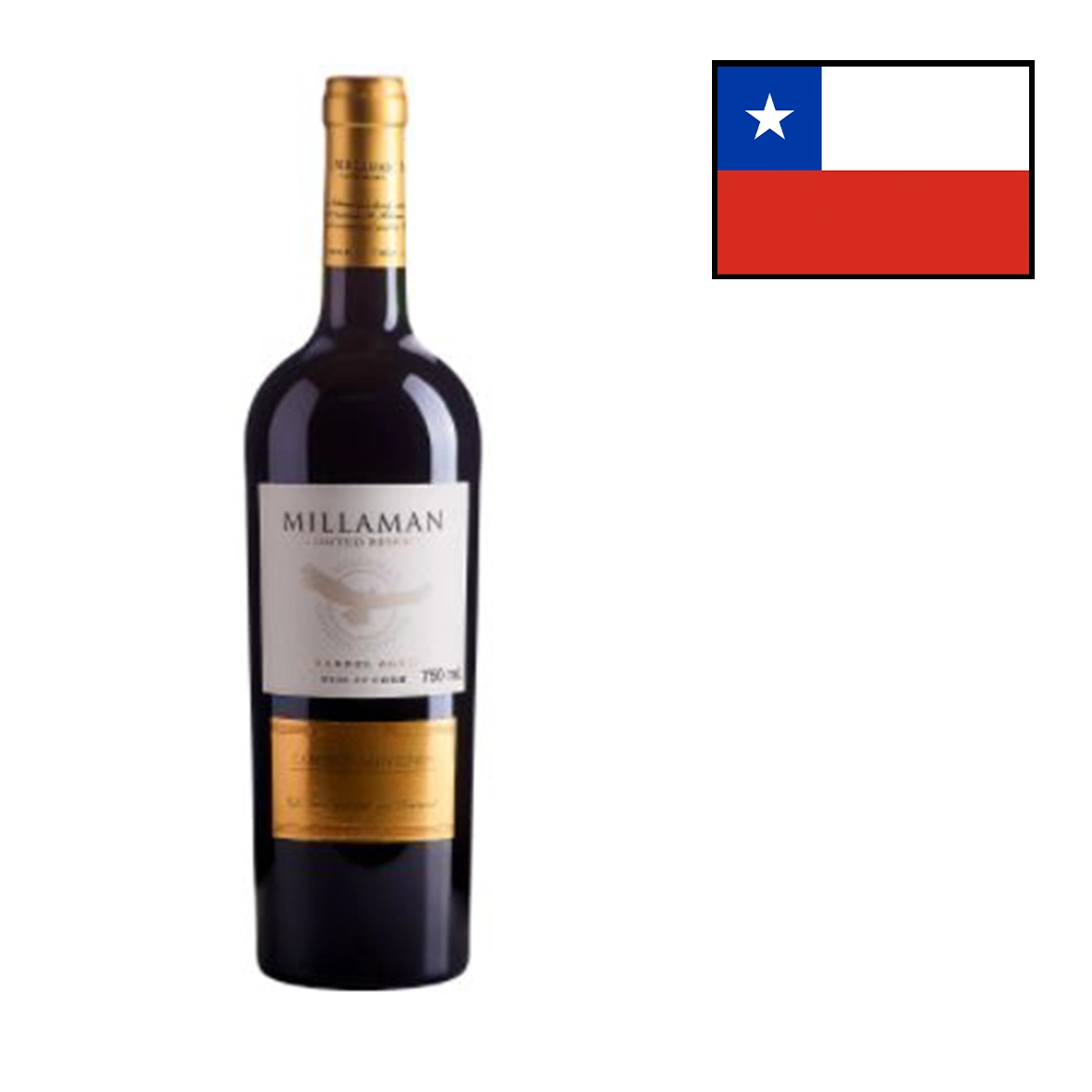 Vn Chi Millaman Res Malbec 750 Ml