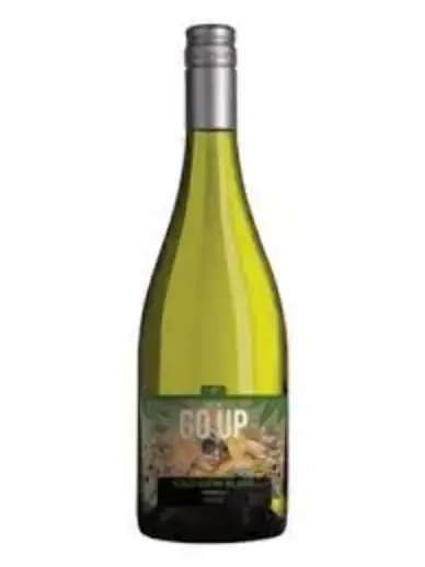 Vinho Santa Irene Go Up 750ml Sauvignon Blanc