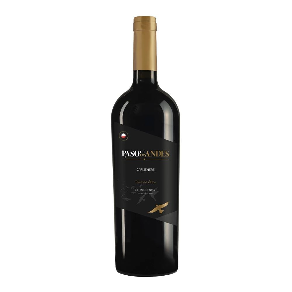 Vinho Paso Los Andes Carmenere 750ml