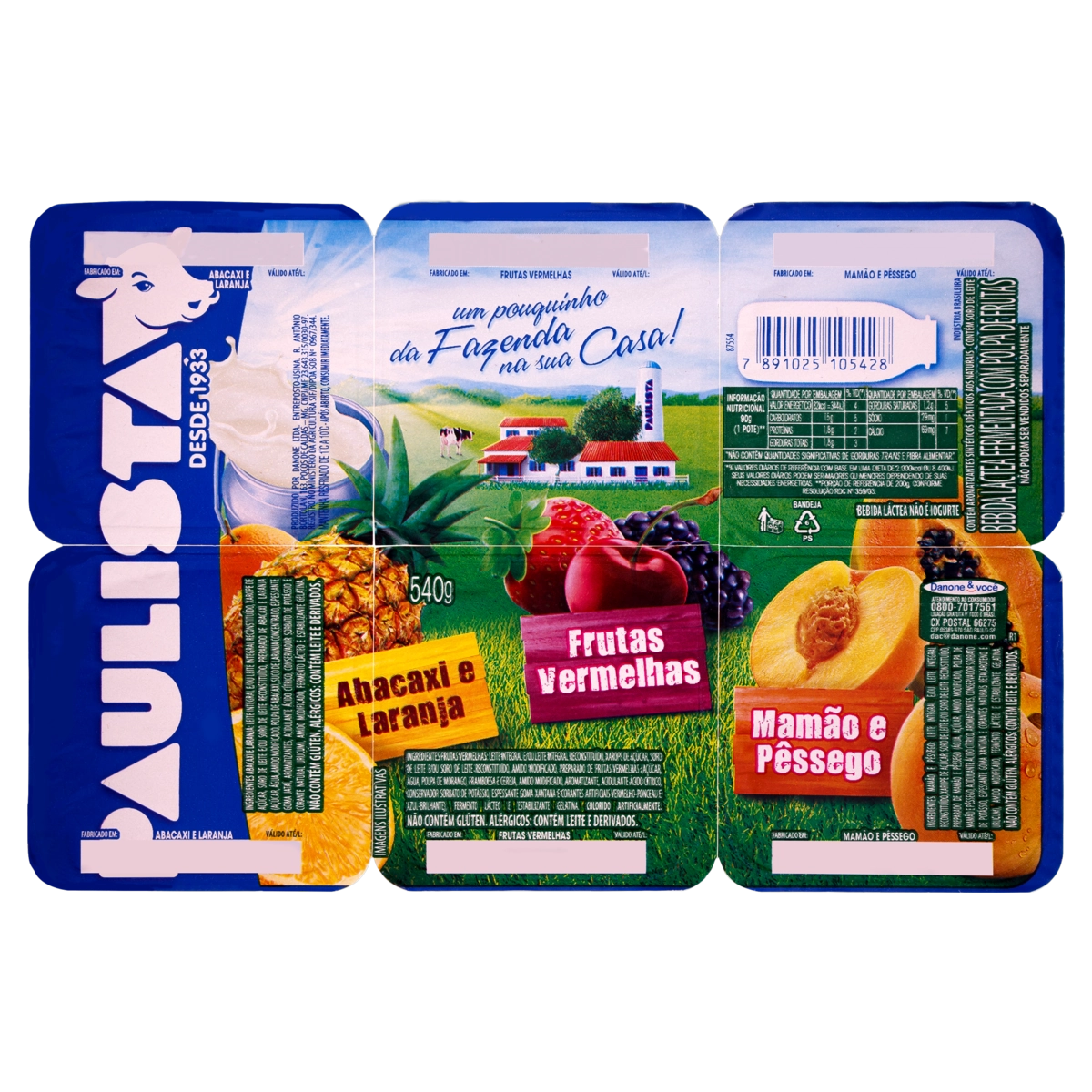 Bebida Láctea Fermentada Frutas Paulista Bandeja 540g 6 Unidades