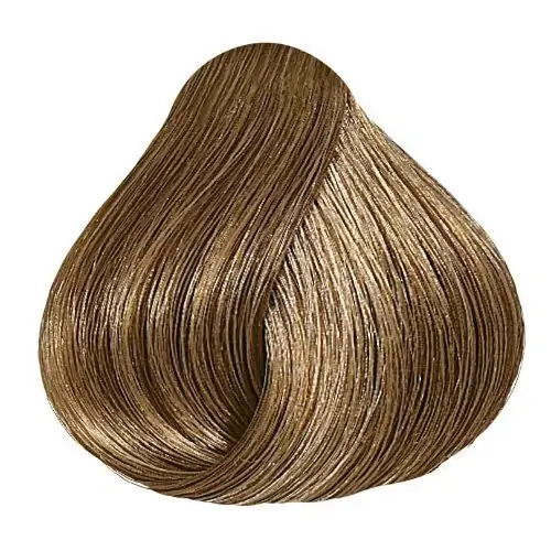 Wella Tint Col Perf 7.01 Lou Med Acinz