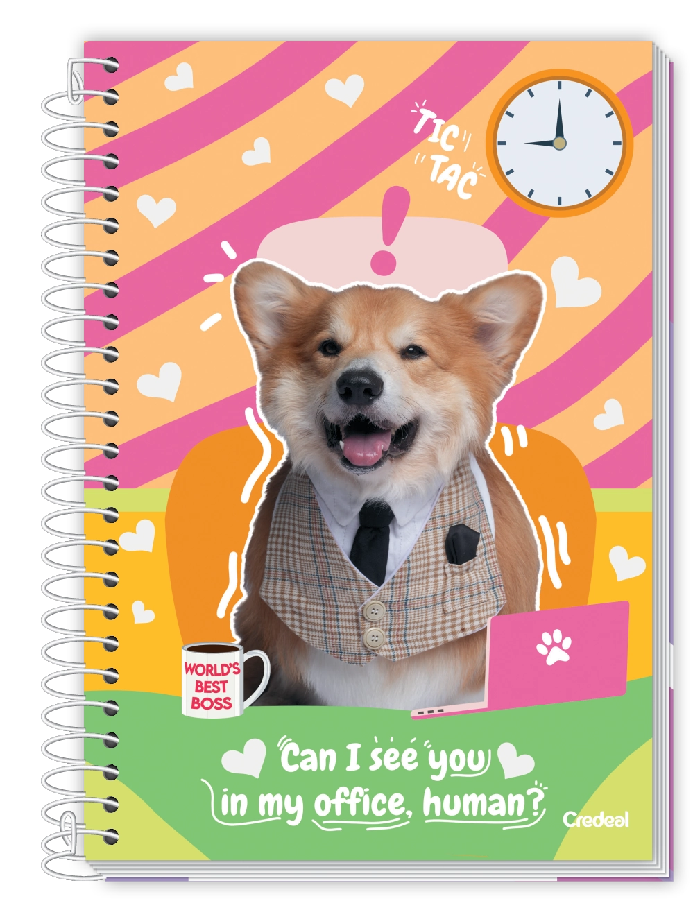 Caderno Credeal Cd 1