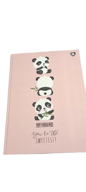 Caderno Sao Domingos My Friend Univ.48f Cost.