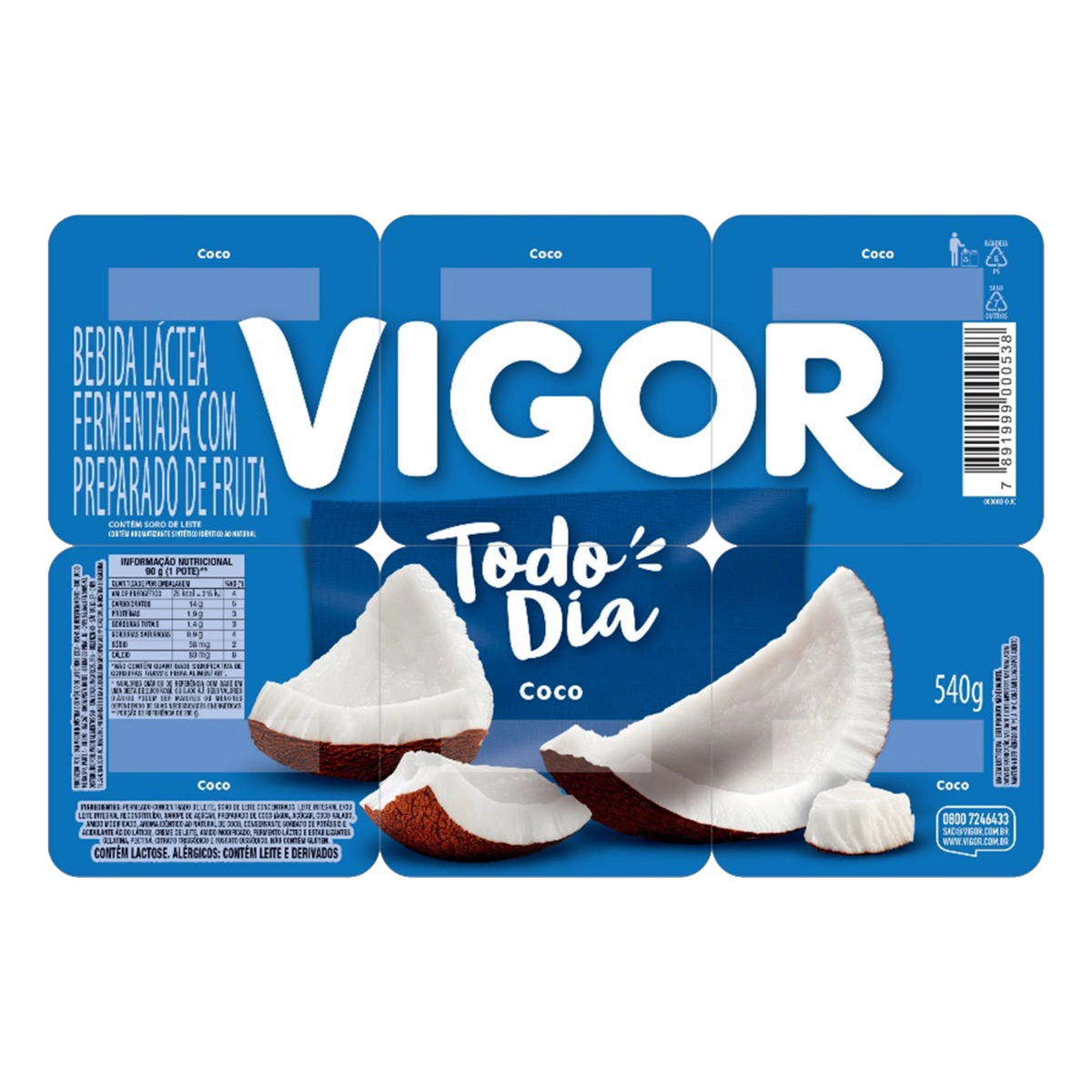Bebida Láctea Fermentada Coco Vigor Todo Dia Bandeja 540g 6 Unidades