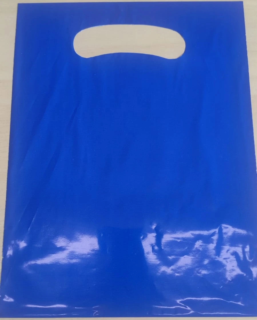 Sacola Plastica 18x24 Cm Pct C/ 10 Un Aze