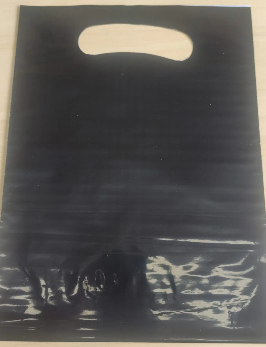 Sacola Plastica 18x24 Cm Pct C/ 10 Un Pt