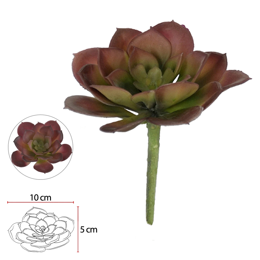 Suculenta 9cm Vermelho 19126005 Flor Arte