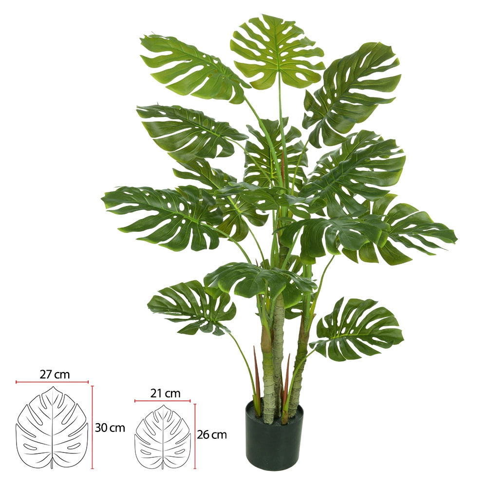 Arvore Costela De Adao Pote 1.2m 53852001 Dea