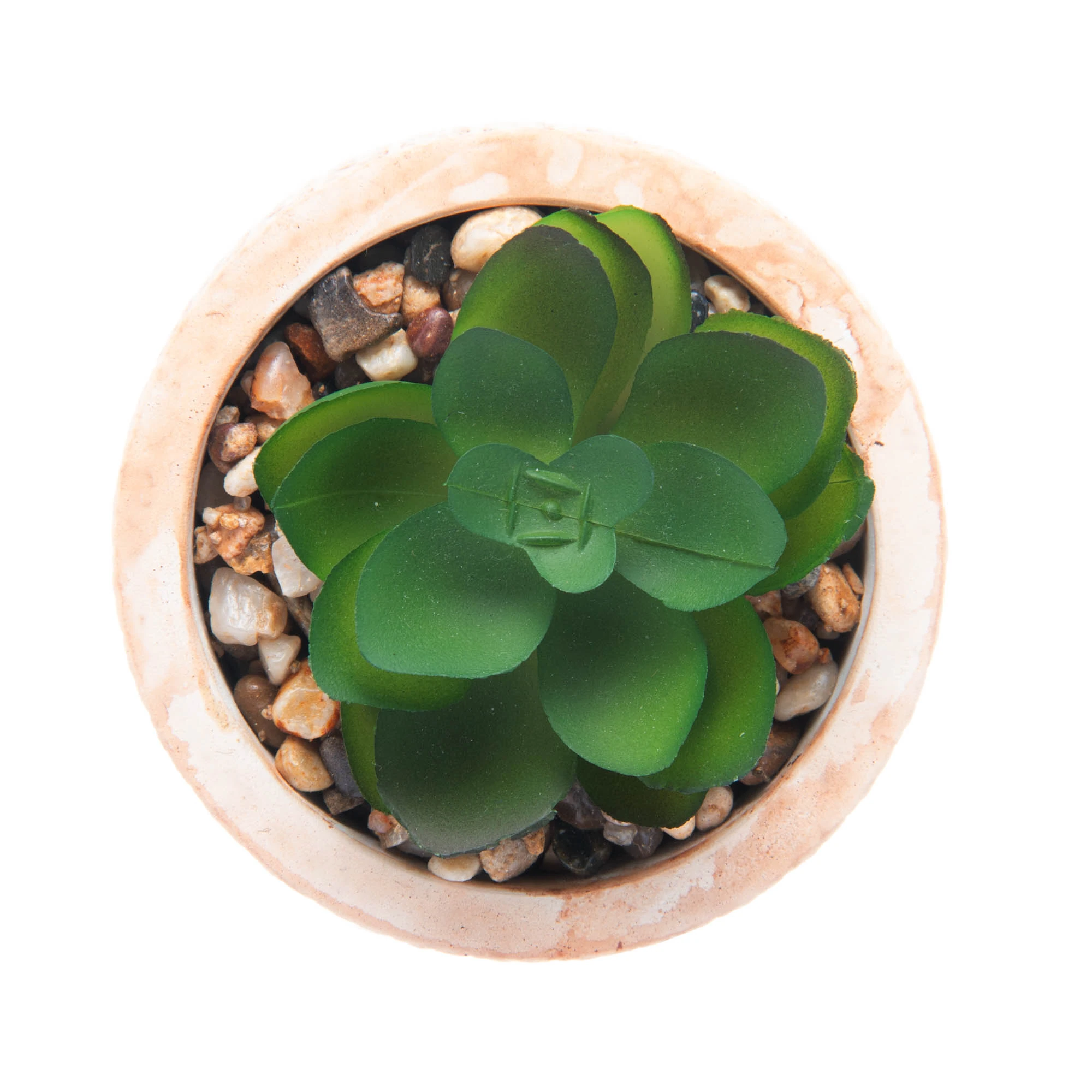 Wolff Cachepot De Ceramica Com Suculenta Trelica 7,5x7,5x10,5cm Ref:61611