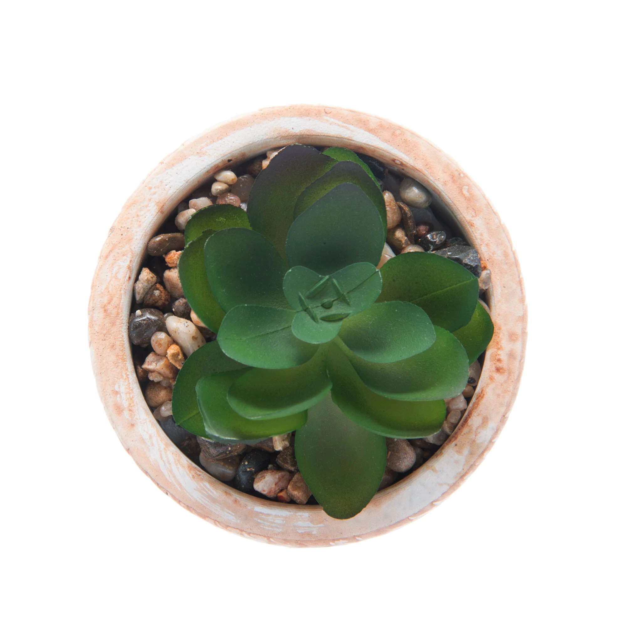 Cachepot De Ceramica C/suculenta Trancado