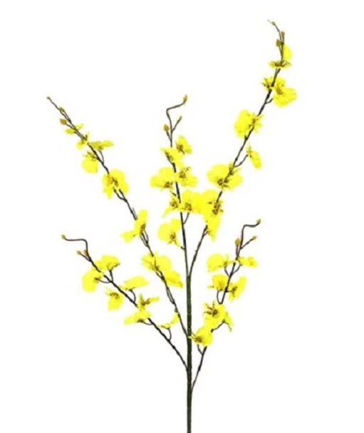 Haste Orquidea Chuva Ouro X5 Am Grillo 29200 005