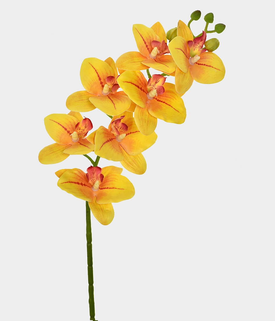 Ht Orquidea Grillo 46400 005 X7 3d Am