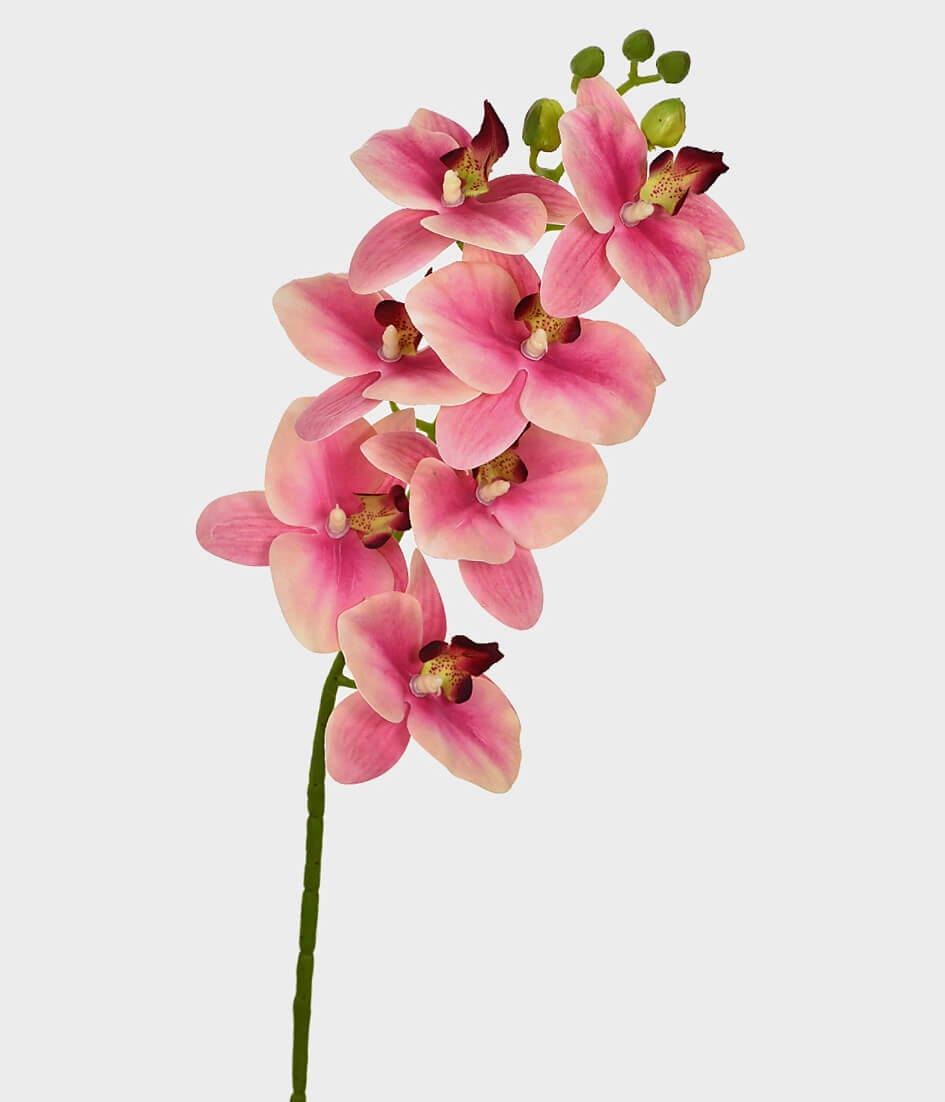 Ht Orquidea 3d X7 46400 018 Grillo