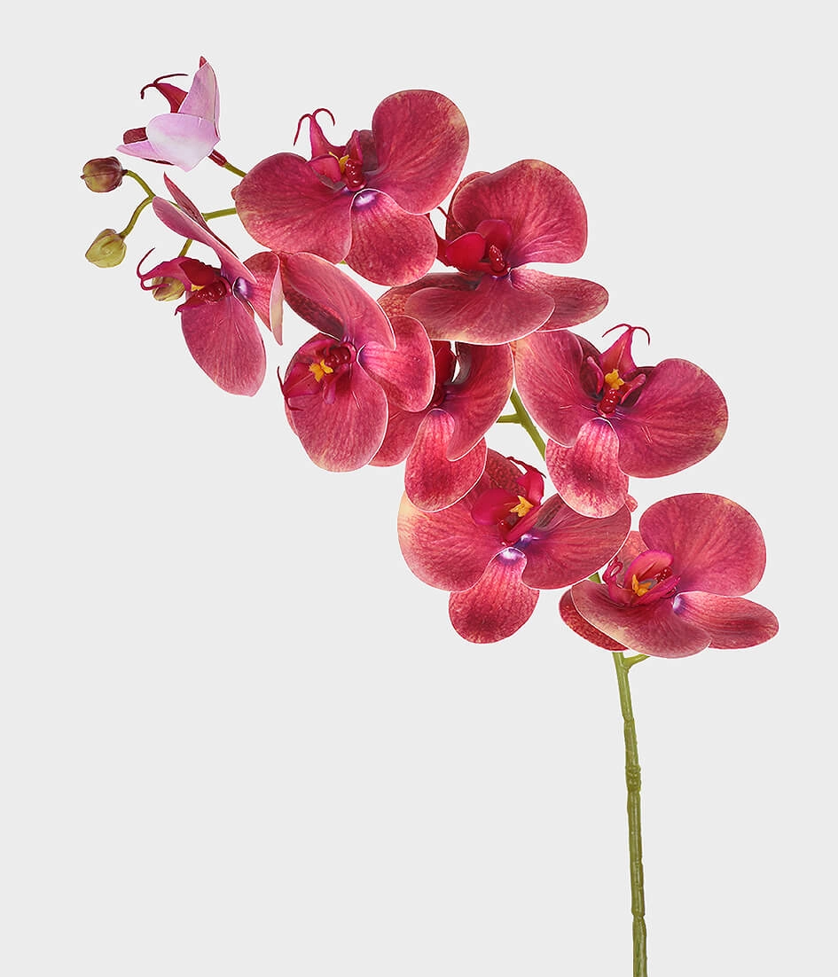 Ht Orquidea 3d X9 Pvc Malva 46406 539 Grillo