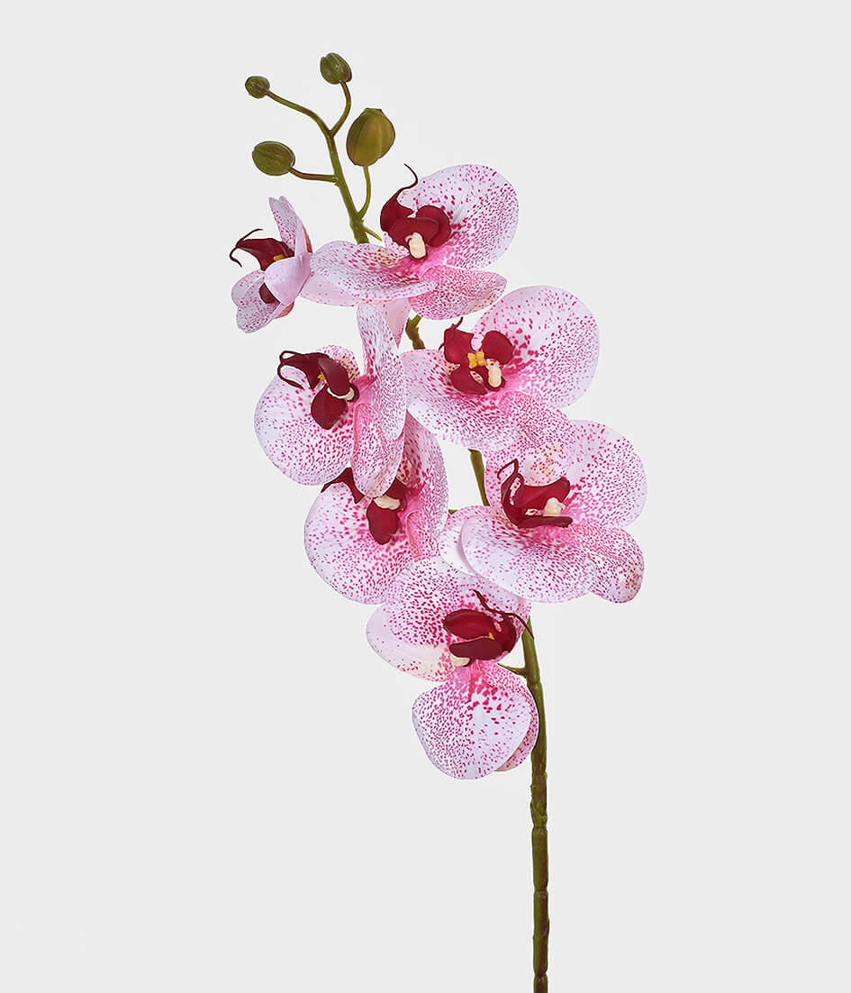Ht Orquidea 3d X7 46403 047 Grillo