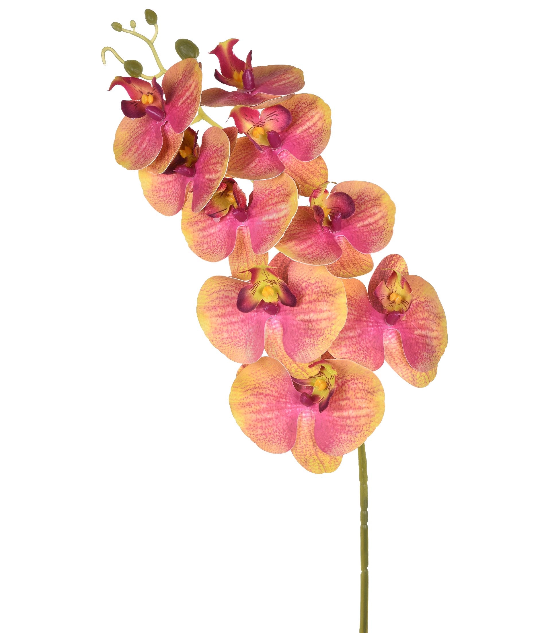 Haste Orquidea Pvc X9 50.278 018 Grillo