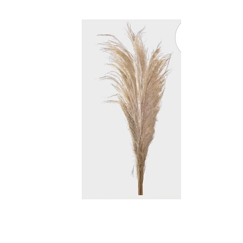 Ht Capim Pampas X4 Natural 51156 380 Grillo