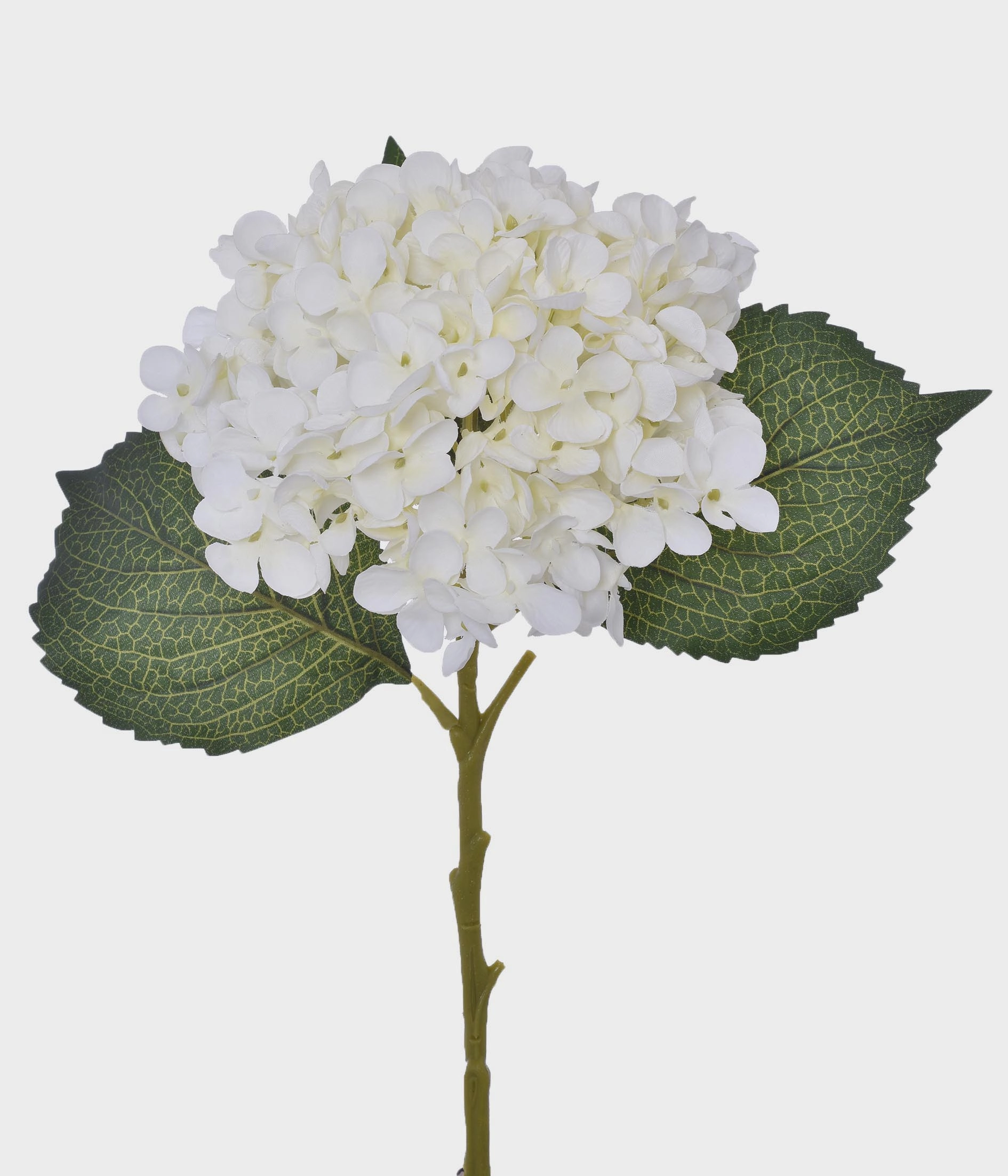 Ht Hortensia Com Folhas 51223 010 Grillo