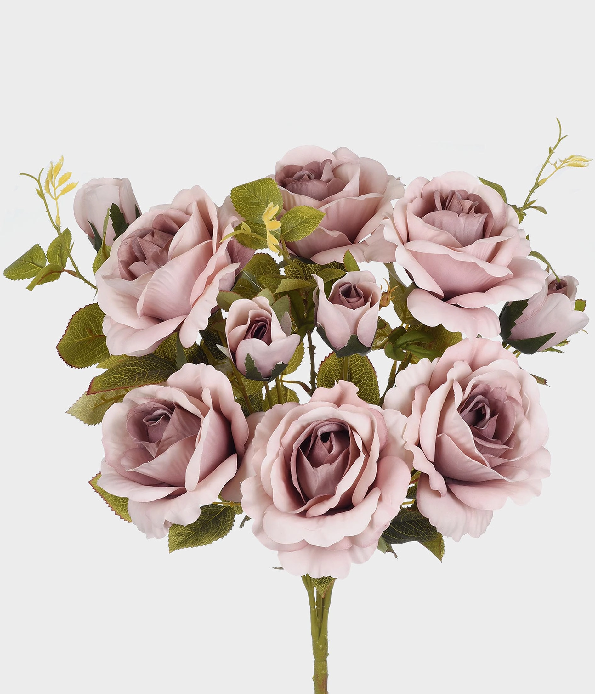 Buque Rosa X10 51909 113 Grillo