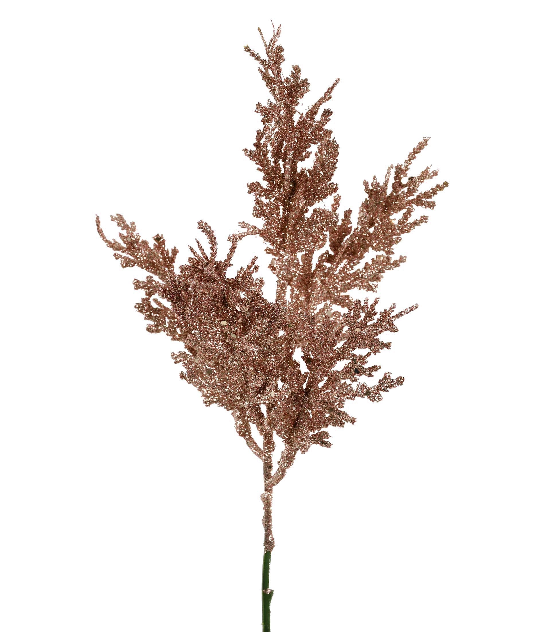 Pick Folhas Cipreste Rose 52230 562 Grillo