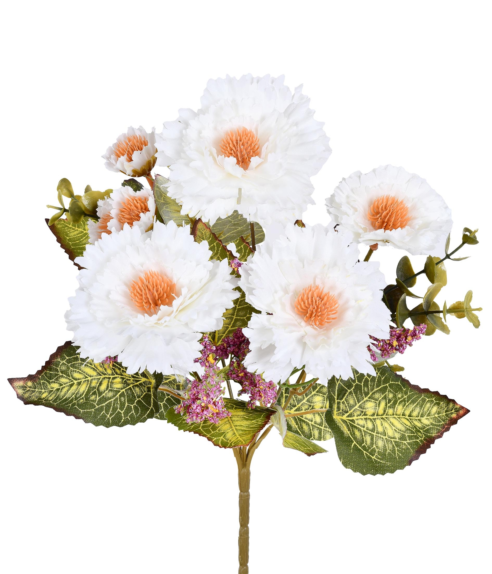 Bq Gerbera X5 Creme 55218 010 Grillo