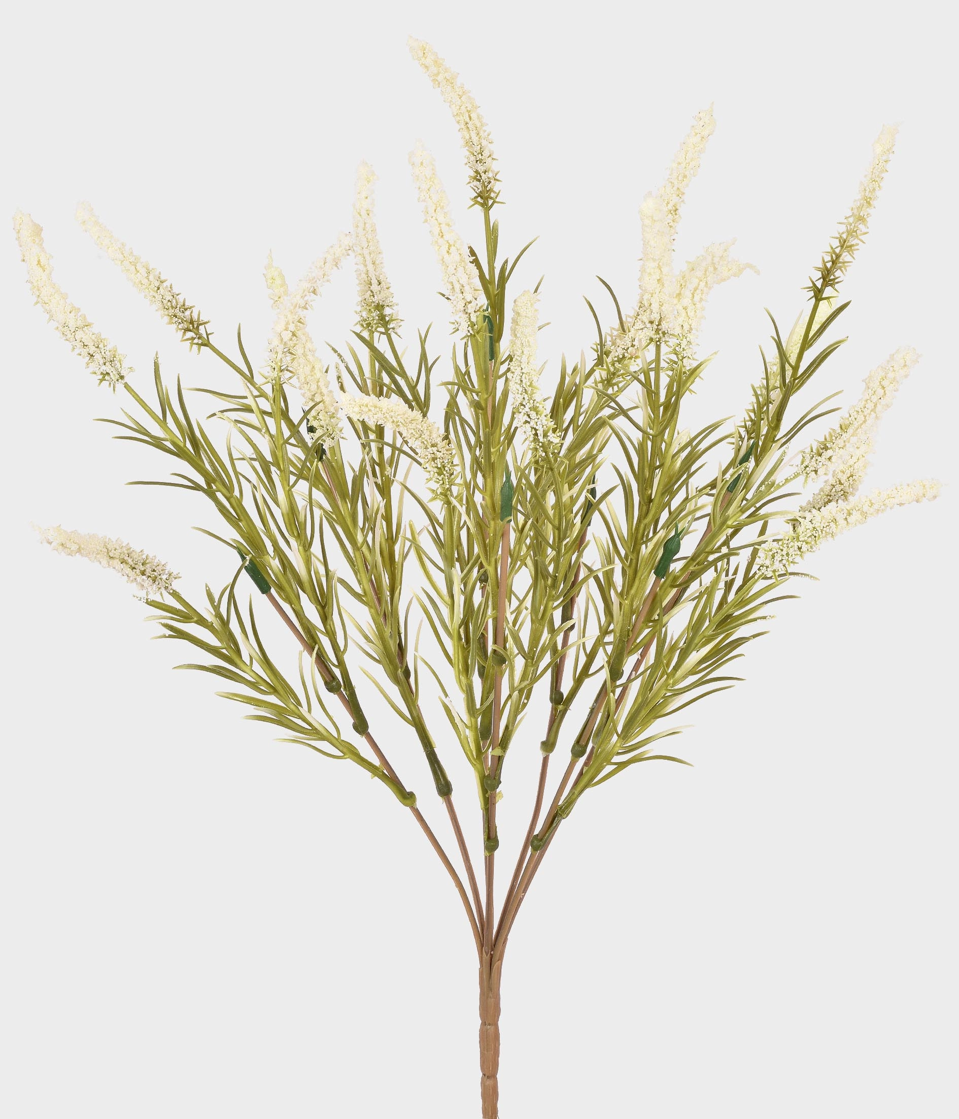 Buque Cattail X7 55288 010 Grillo