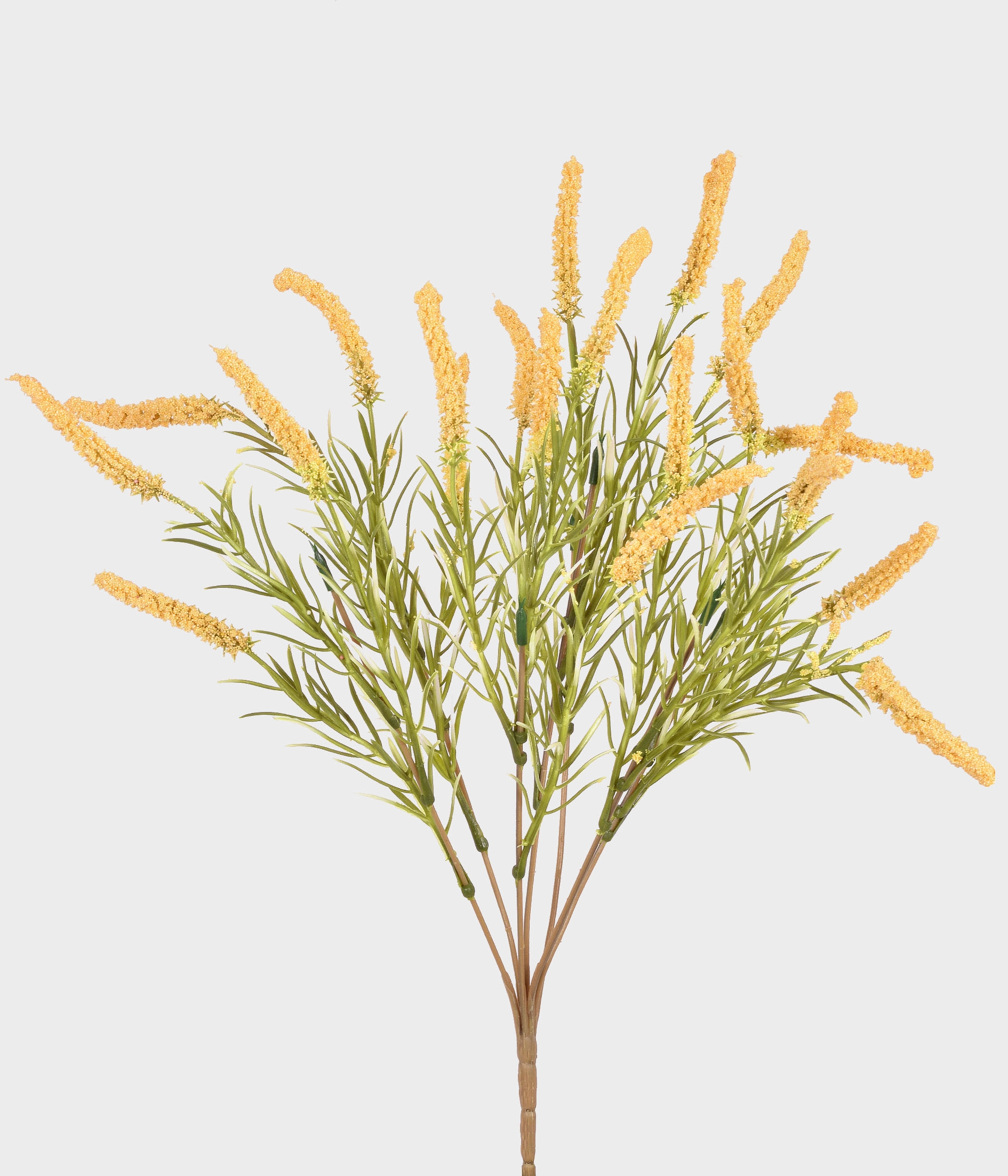 Buque Cattail X7 55288 005 Grillo