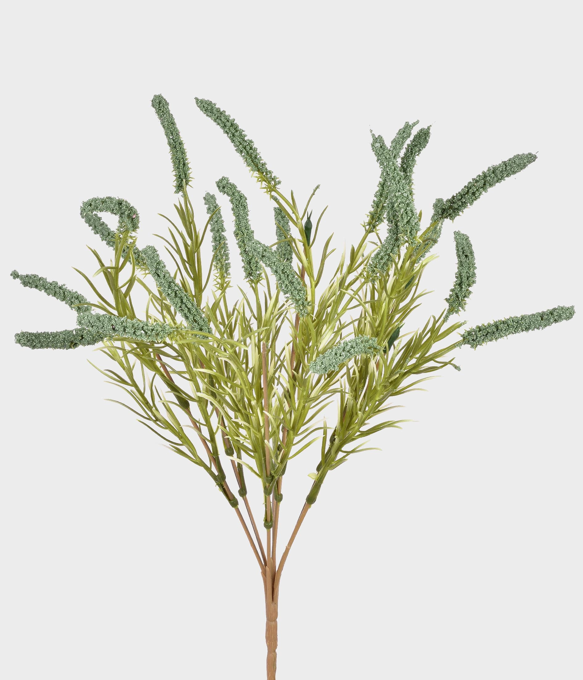 Buque Cattail X7 55288 004 Grillo