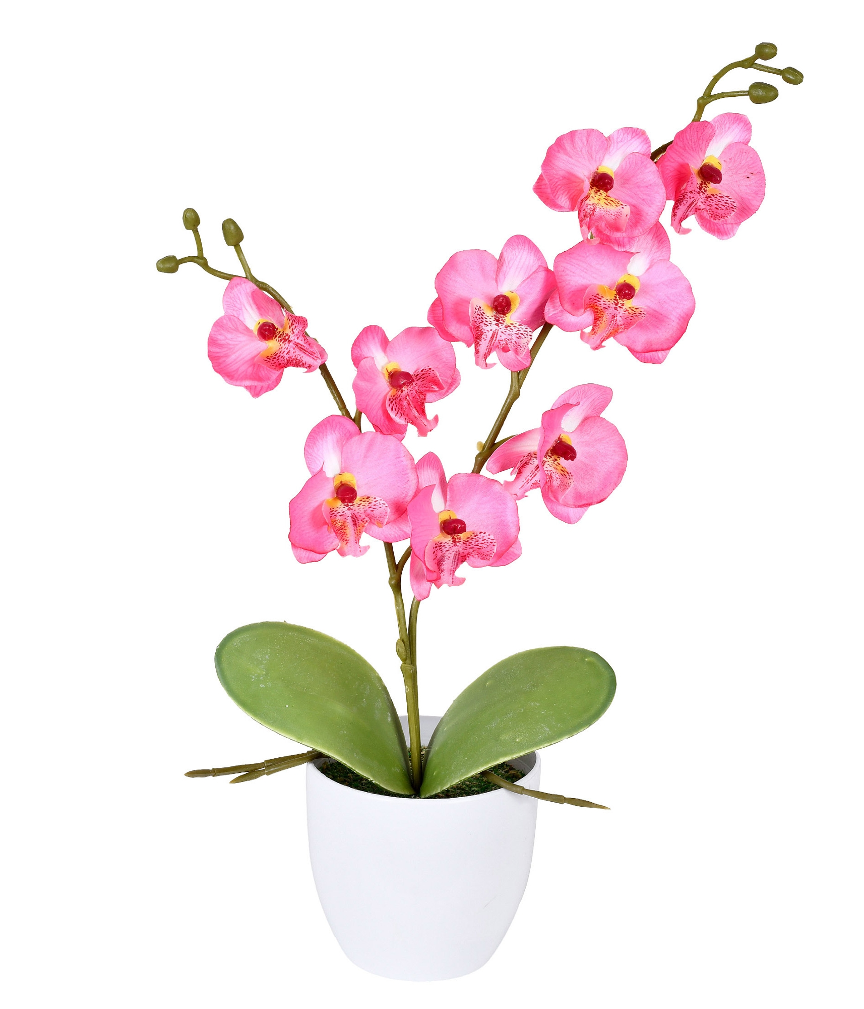 Arranjo Orquidea Rosa X2 56302 018 Grillo