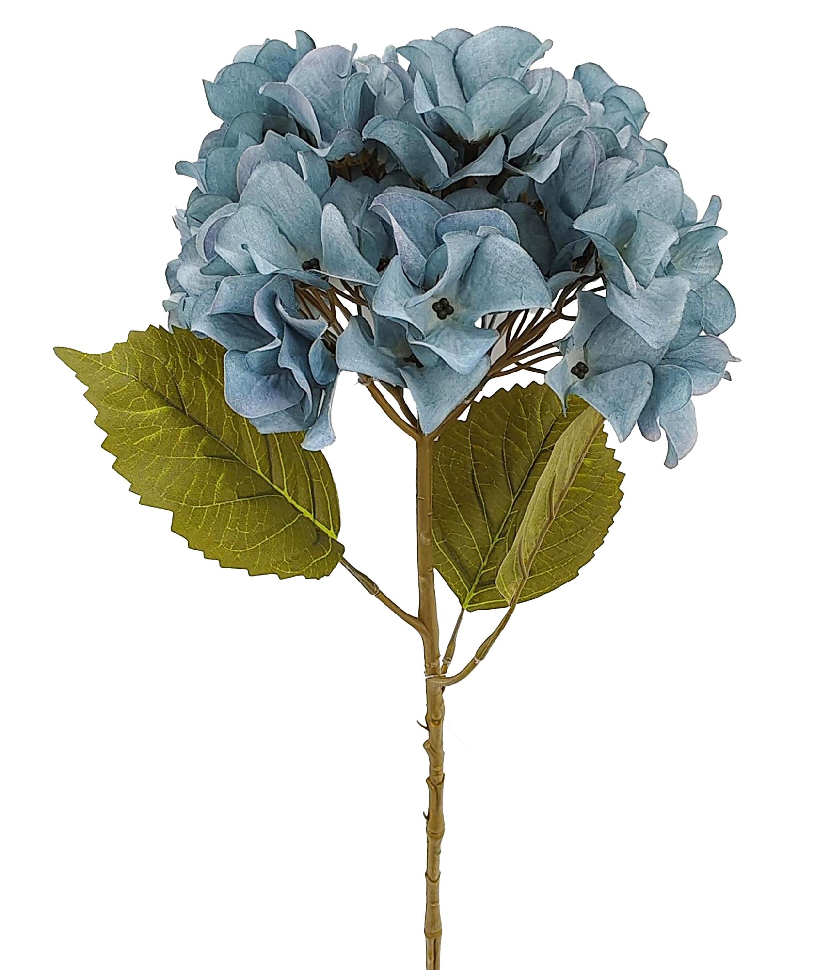 Haste Hortensia Azul 57725 001 Grillo