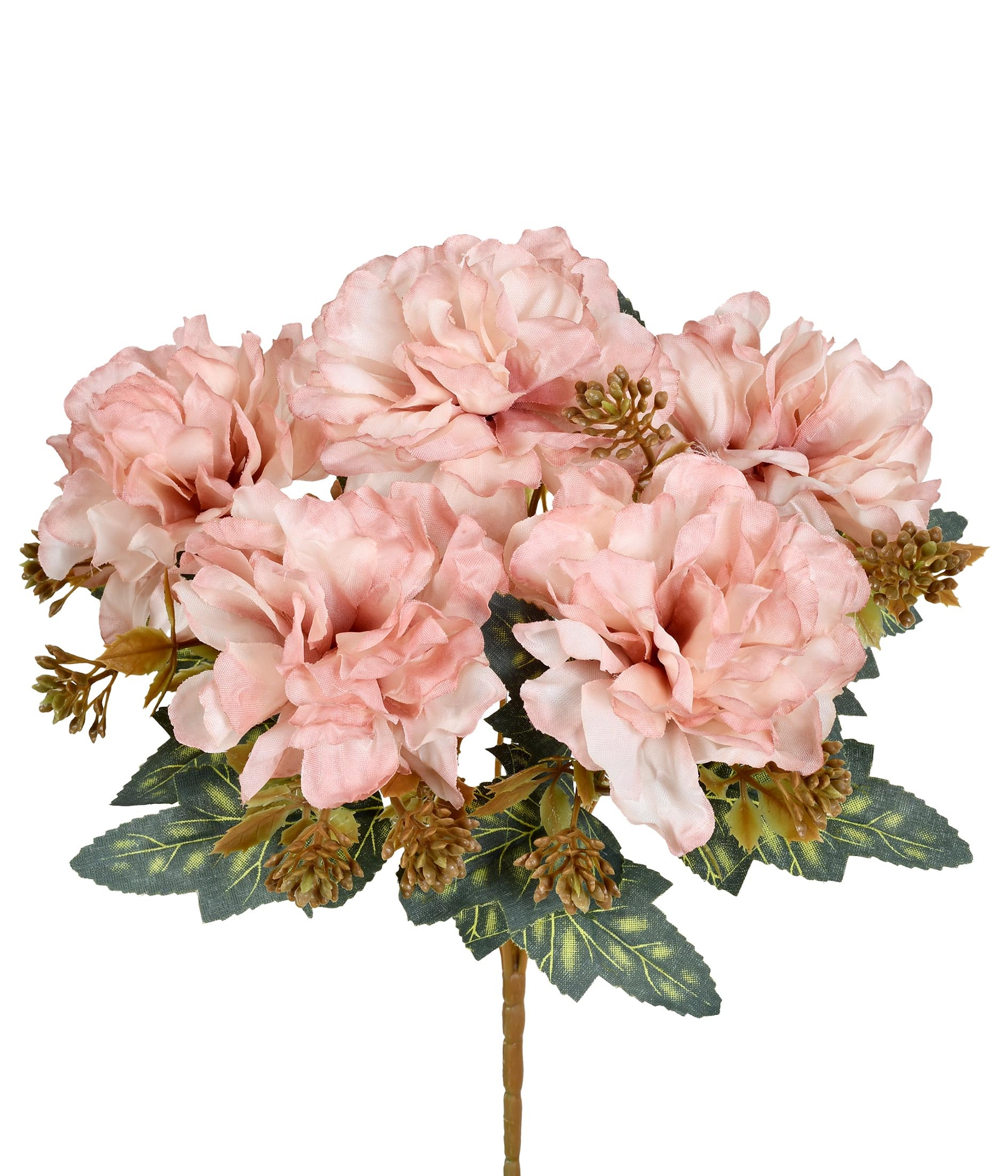 Buque Peonia Outonado Rosa X5 57794 241 Grillo