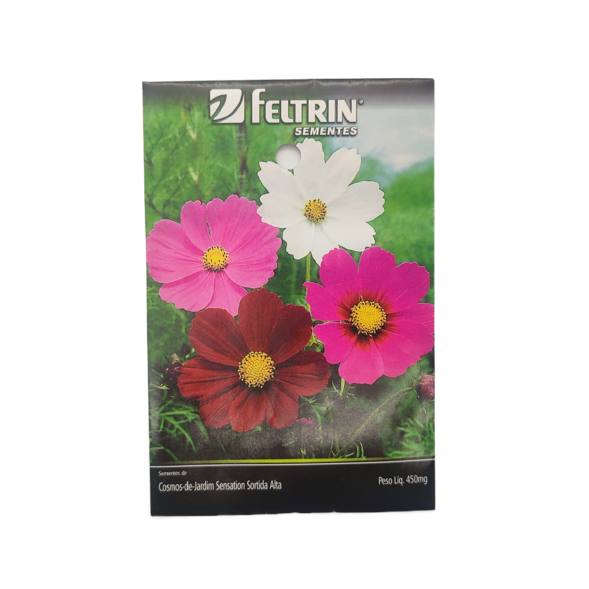 Sem. Flor Feltrin Cosmea Sensacao