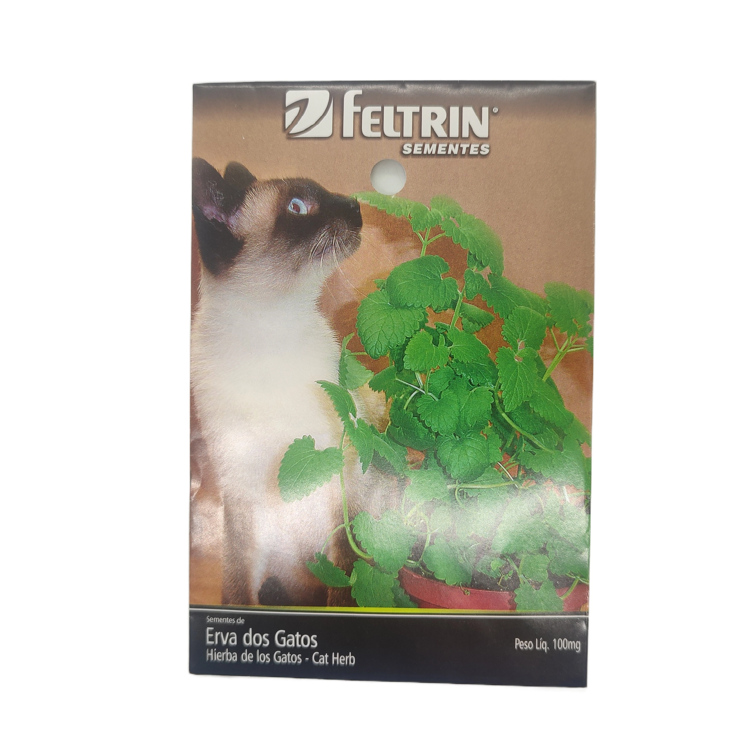 Semente Erva Dos Gatos Erva Dos G Temp