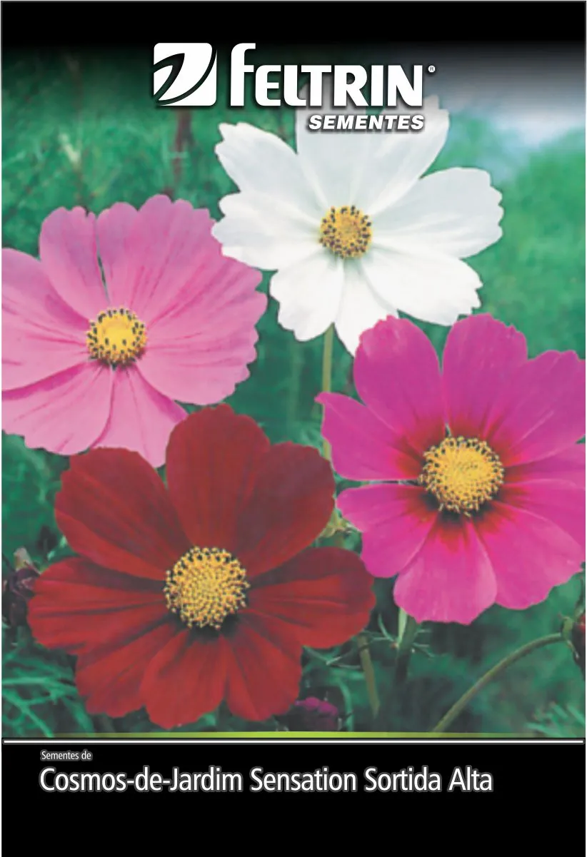 Sem. Flor Feltrin Cosmea Sensacao