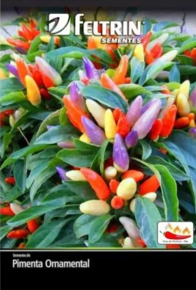 Semente Pimenta Floribela 093.1177.evec Feltrin