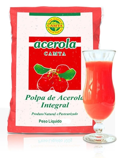 Polpa Camta 100g Acerola