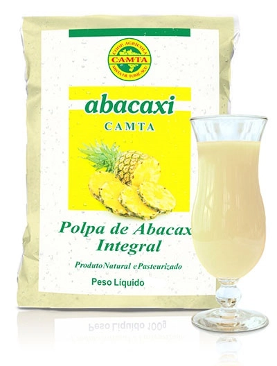 Polpa Camta 100g Abacaxi