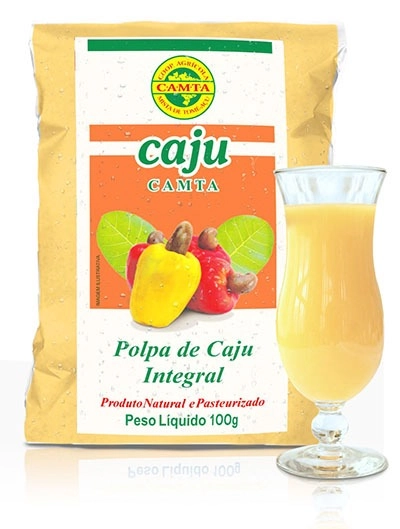 Polpa Camta 100g Caju